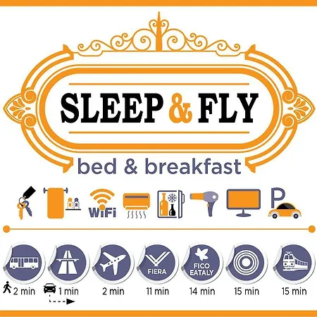Sleep & Fly