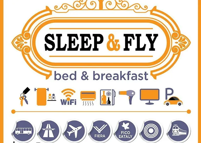 Sleep & Fly